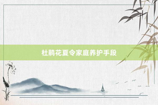 杜鹃花夏令家庭养护手段